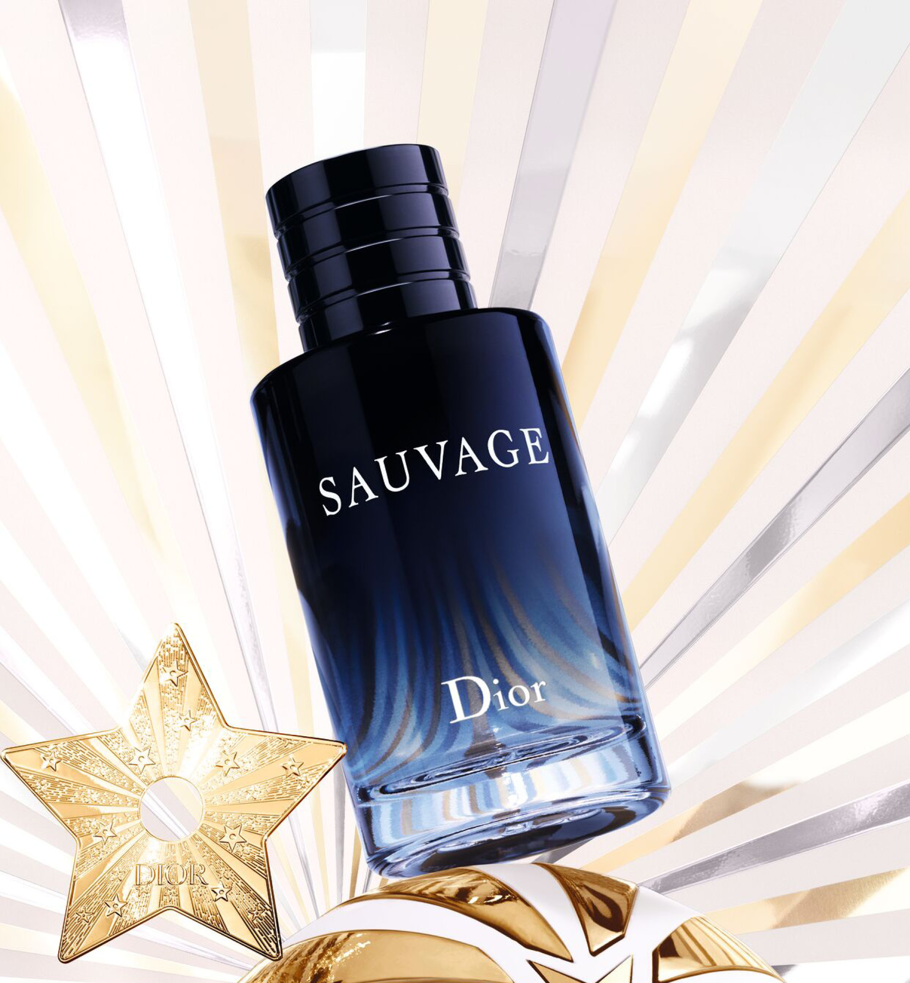 迪奥旷野男士淡香水| Dior dior.cn