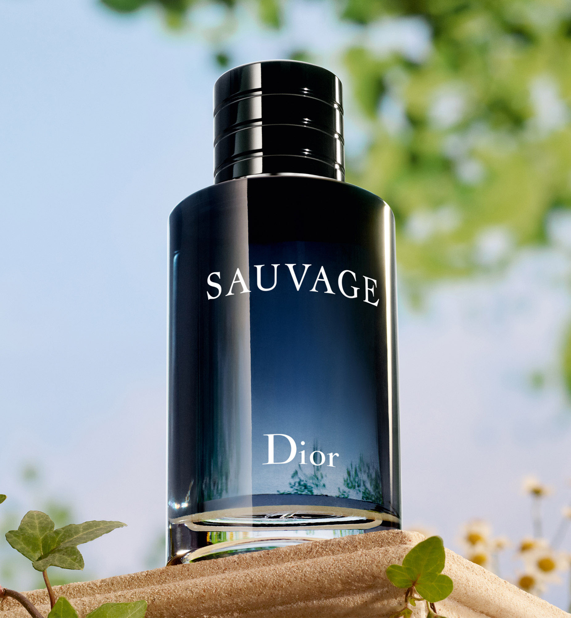 迪奥旷野男士淡香水| Dior dior.cn